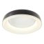 DIP modern LED mennyezeti lámpa, fényes fekete, 40W, 2700/3000/4000/5000/6500K, 2568lm