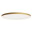 NOBU modern LED mennyezeti lámpa, matt arany, 80W, 3000/4000K, 4878lm