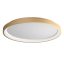 ICONIC modern LED mennyezeti lámpa, matt arany, 50W, 3000/4000K, 2860lm
